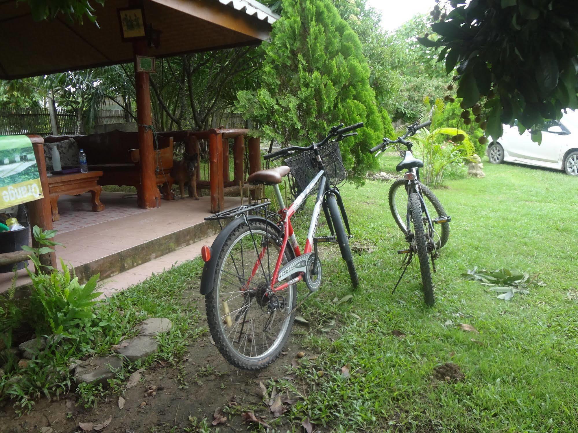 Resort Orange Grove Resort