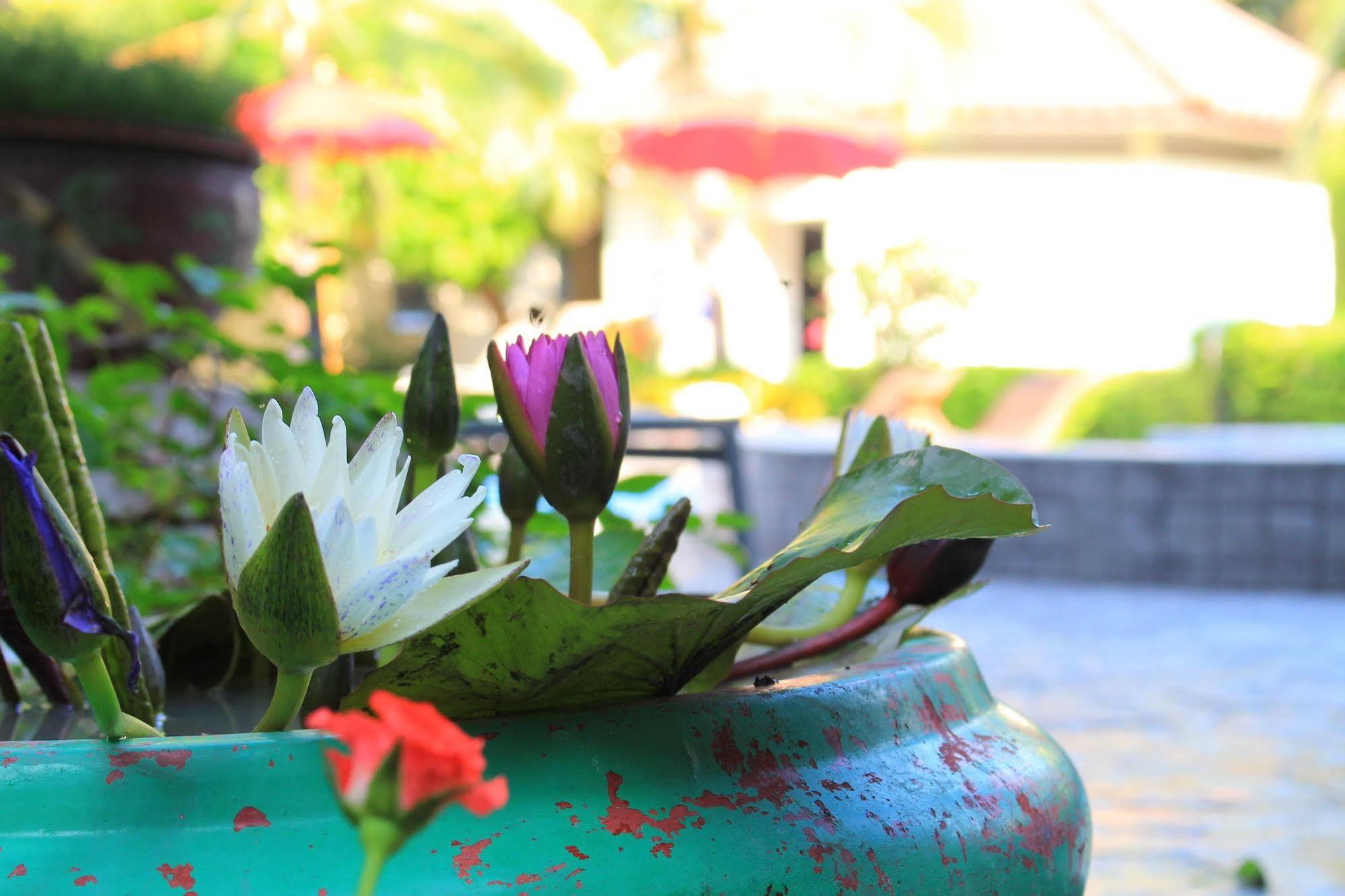Resort The Garden 3*