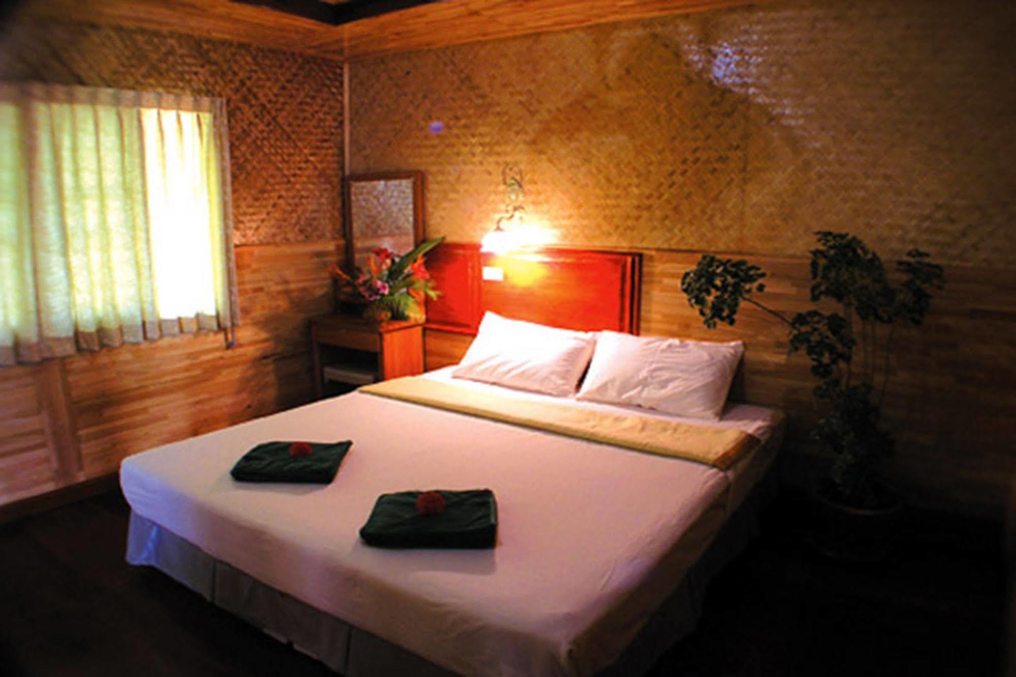 Dreamland 2*