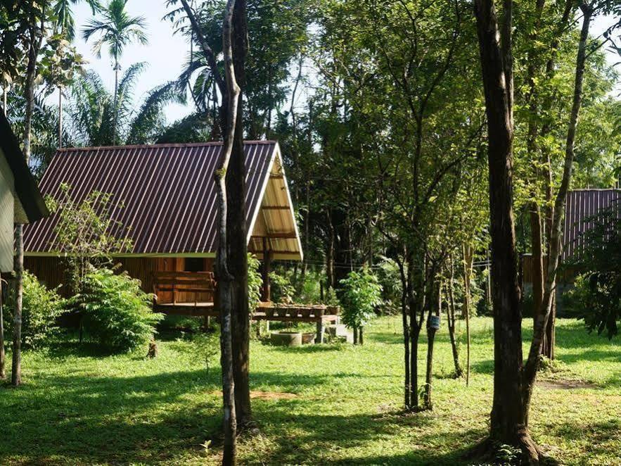Khao Sok Jungle 2*