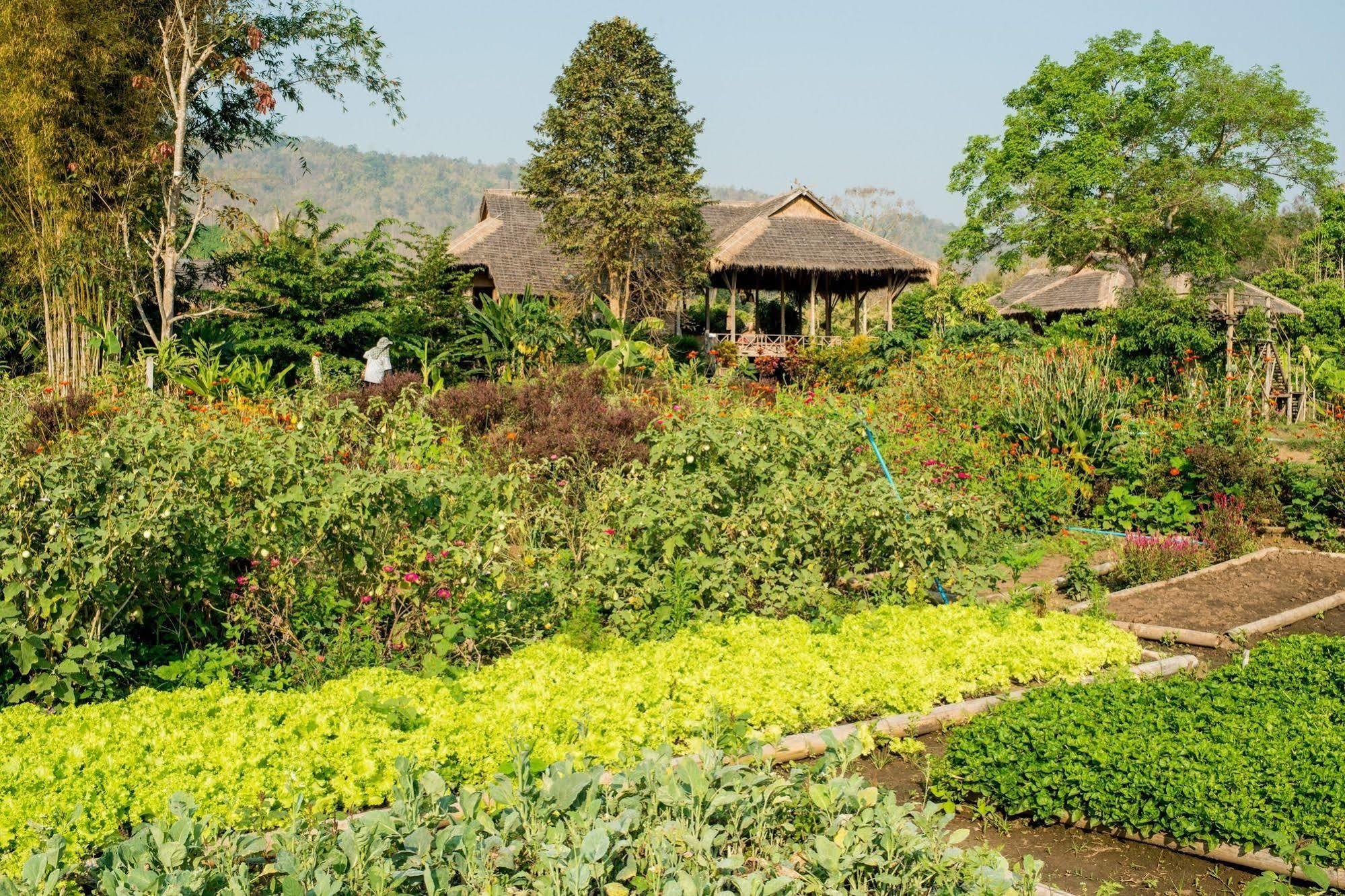 Lisu Guest house 2*
