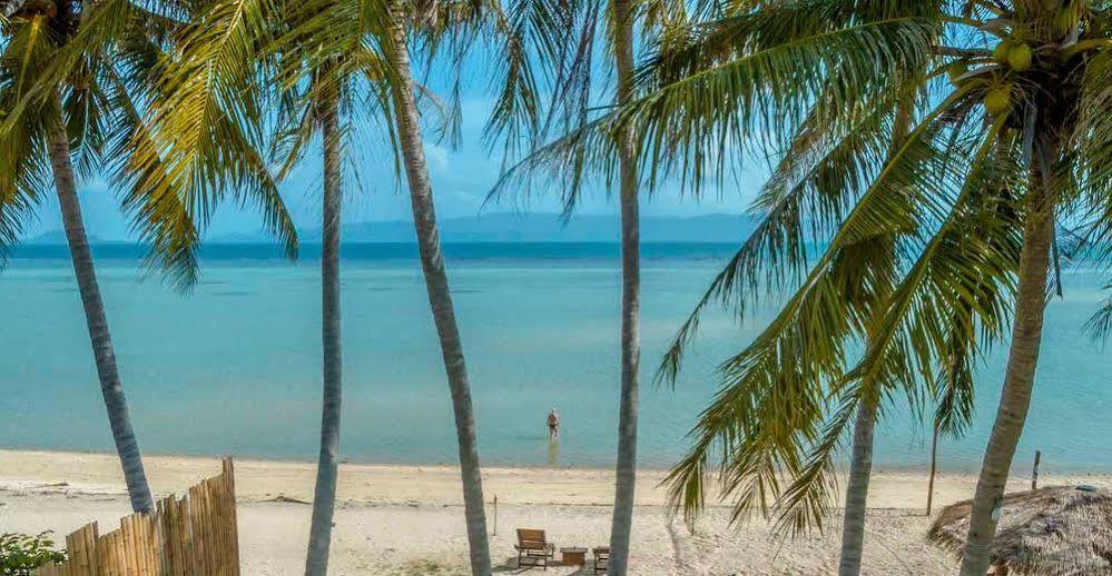 Infinity Club & Koh Phangan *
