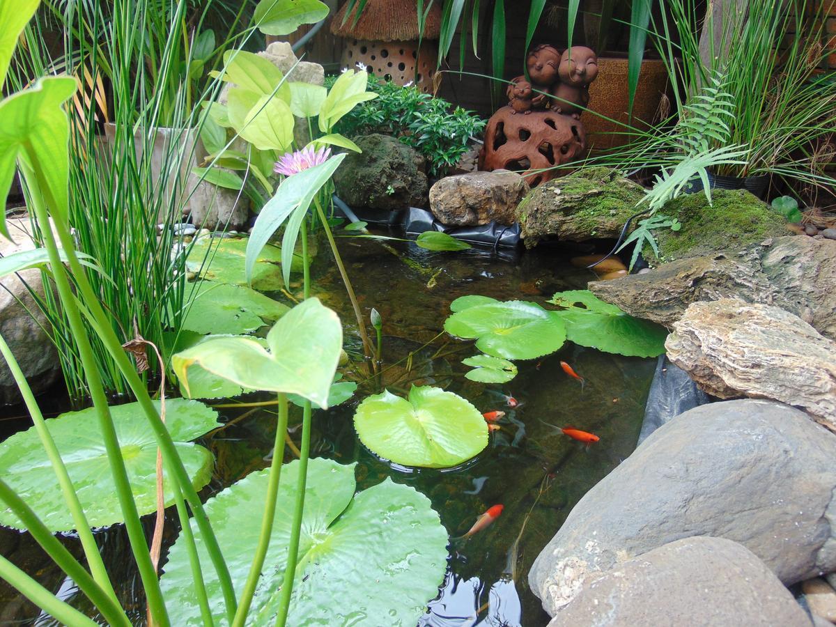 Pha Thai House Chiang Mai