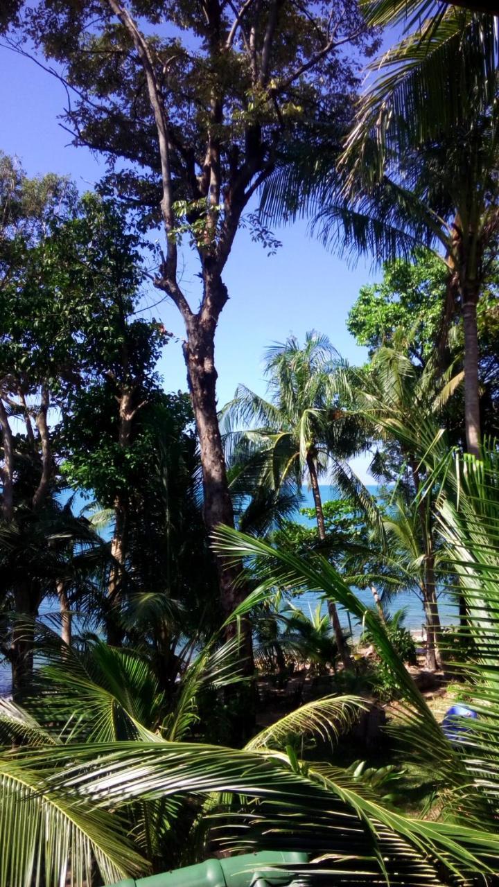 Paradise Palms