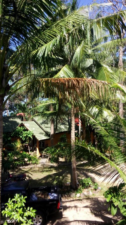 Resort Paradise Palms 3*