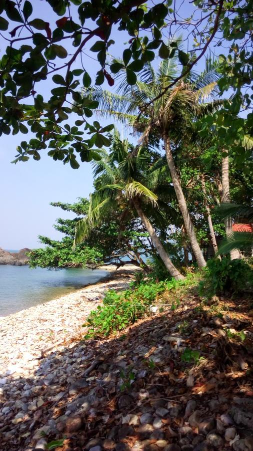 Paradise Palms Resort 3*