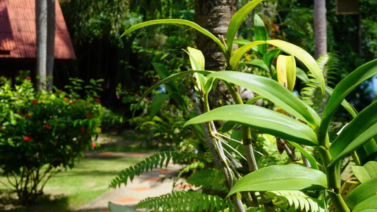 Morning Star Resort 3*