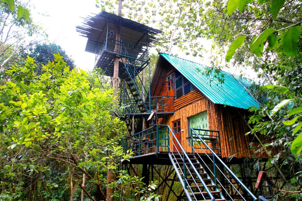 Khao Sok Tree House 4* Khao Sok National Park