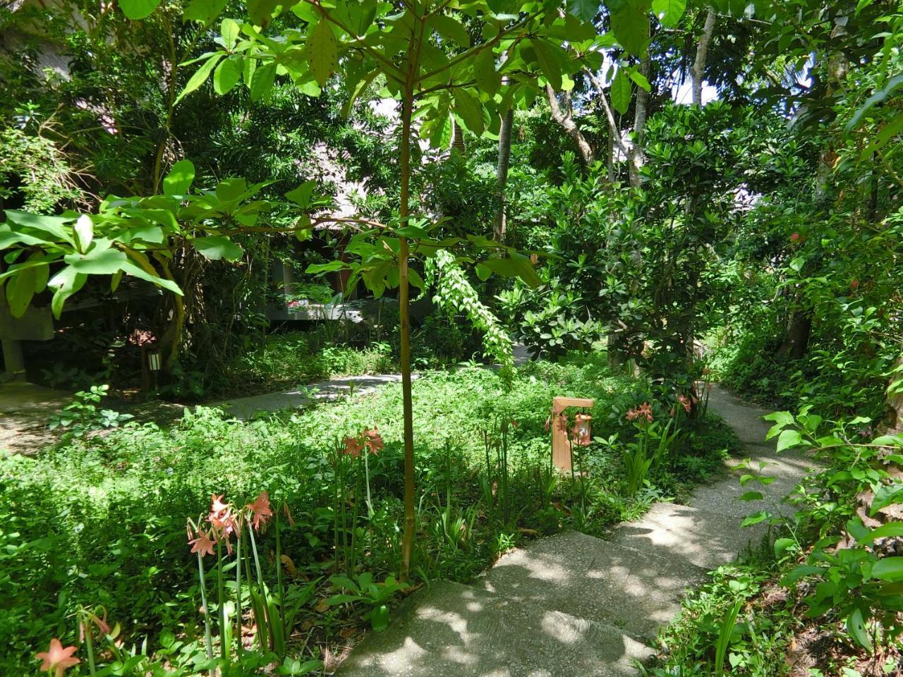 Resort The Narima - Sha 3*