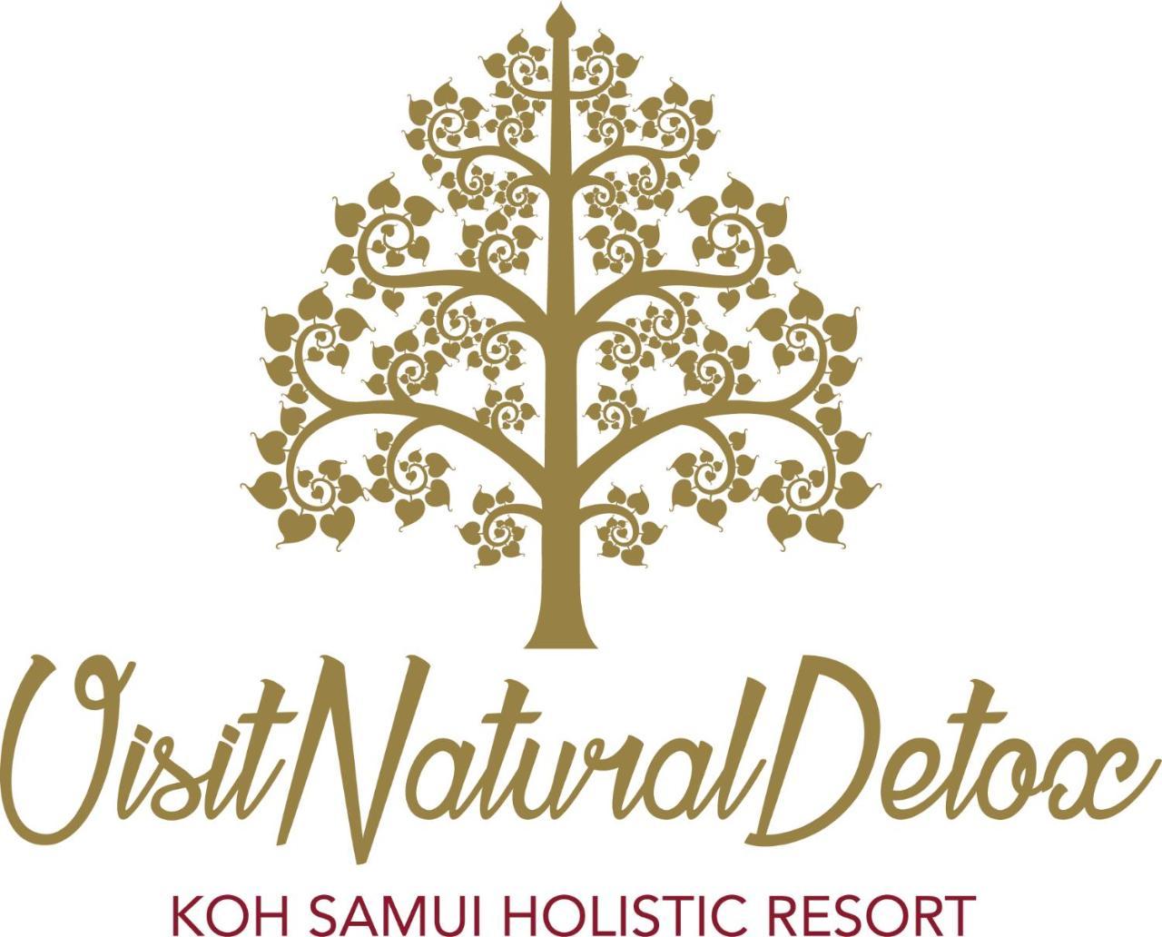 Visit Natural Detox (adults Only) Hotel