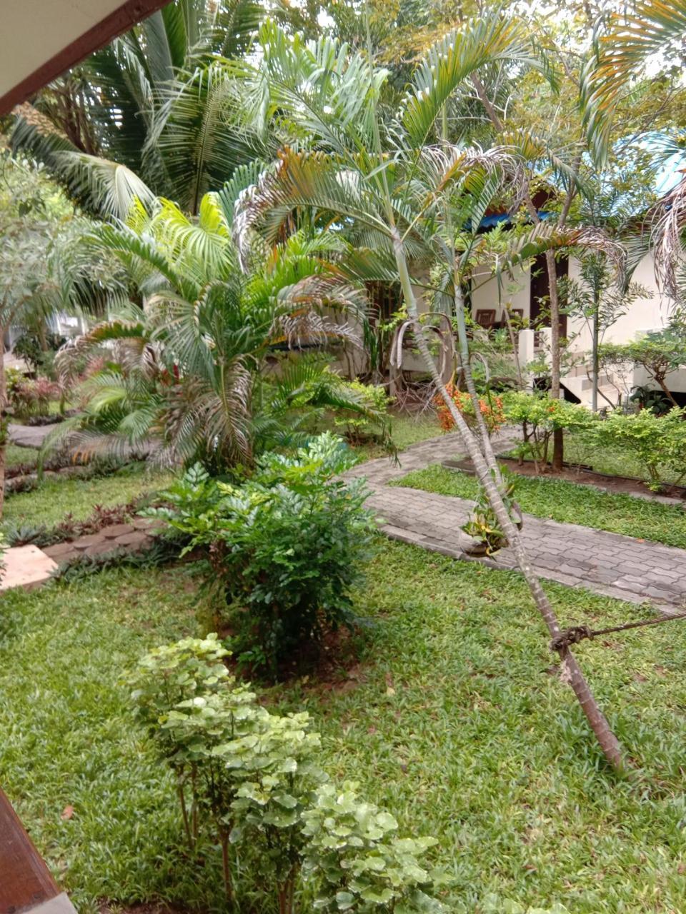 Prik Thai * Koh Tao