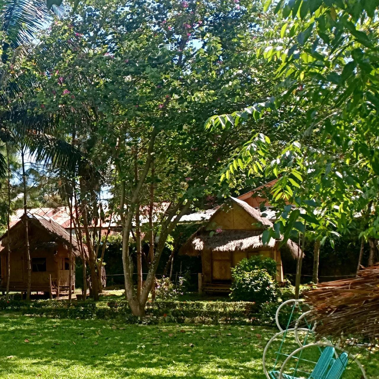 Monkey House 2 2* Pai