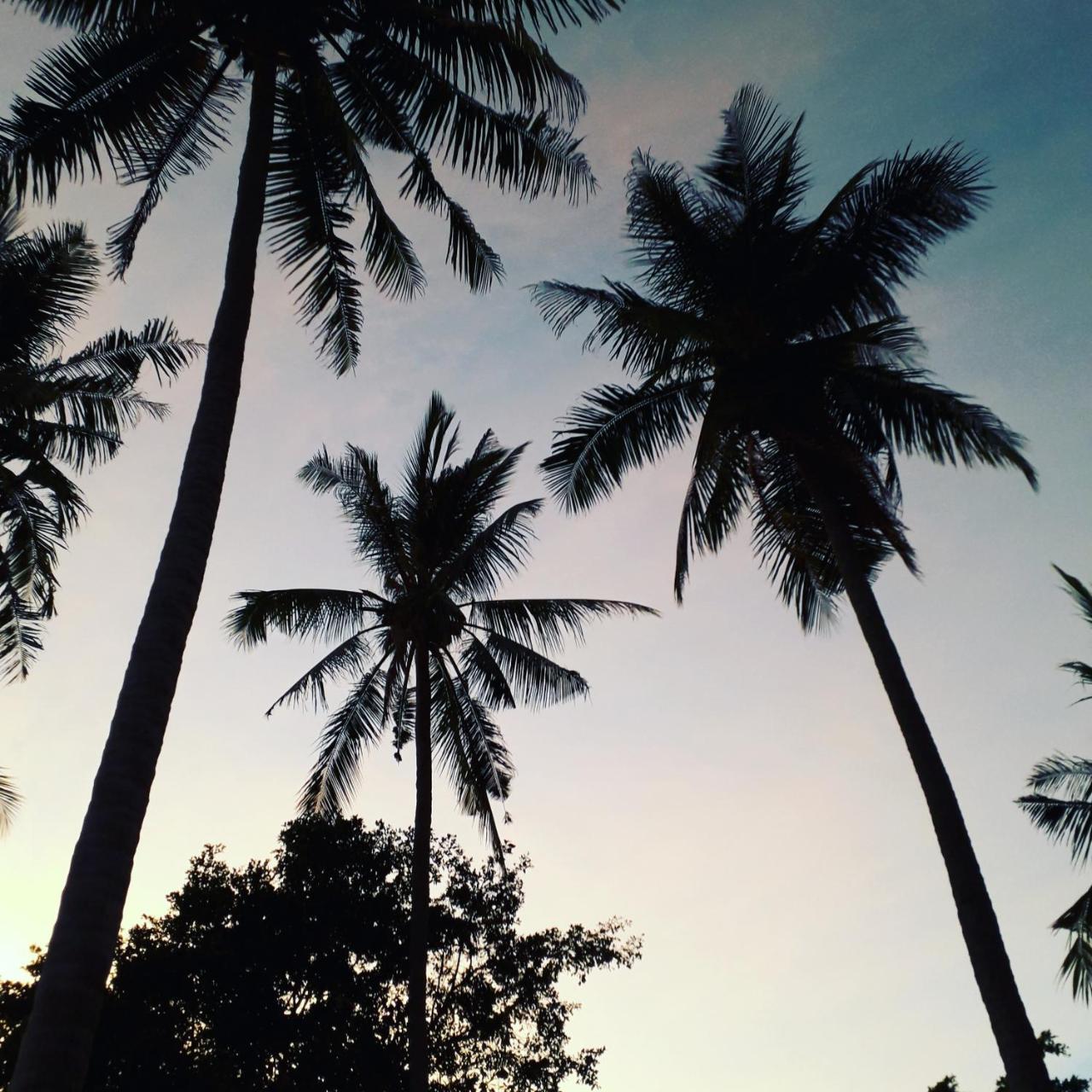 Coco Garden