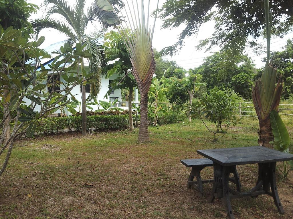 Lemon Tree