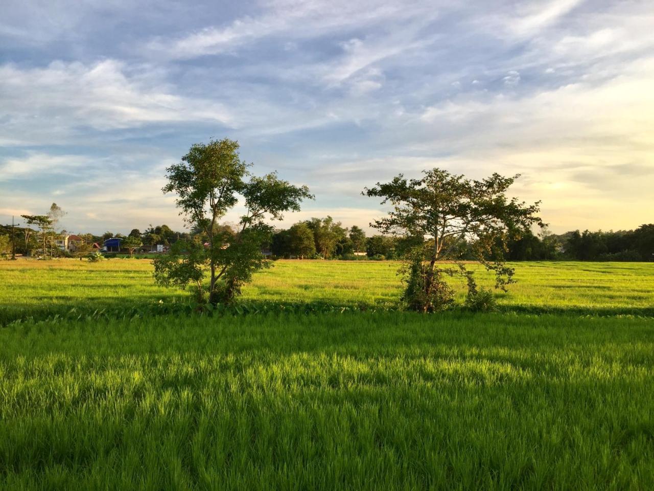 Six Nature Chiang Rai