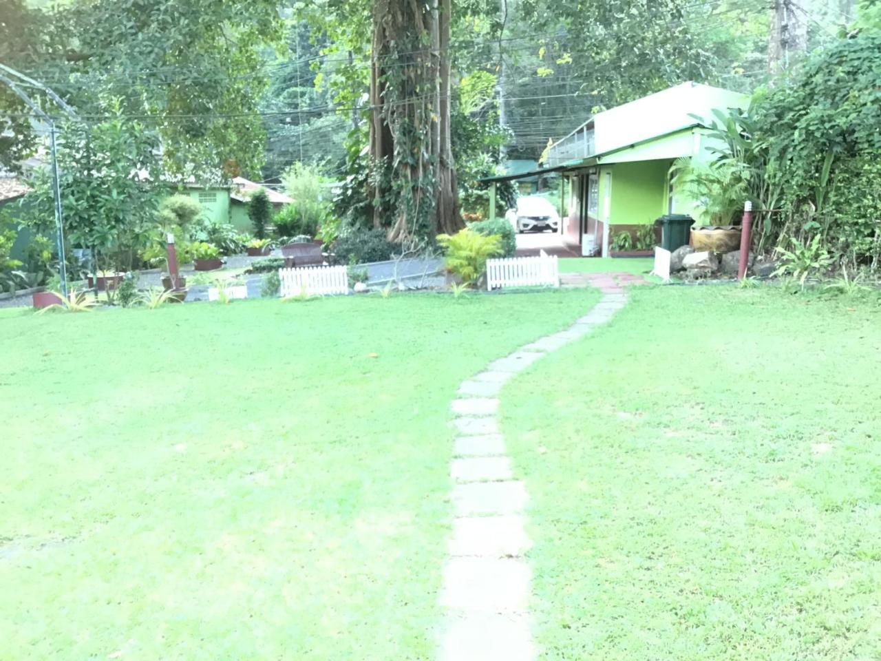 Grand Tree Hotel