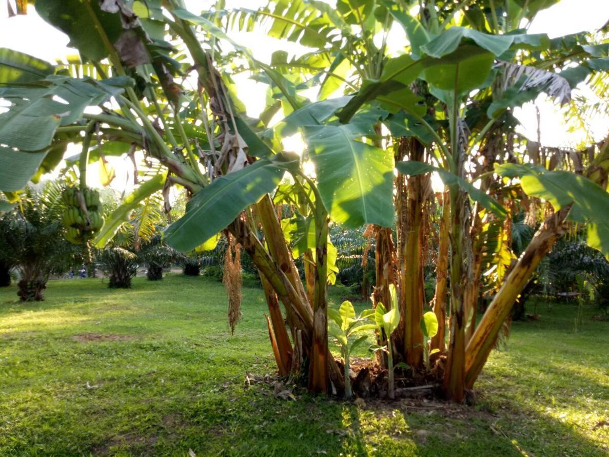 Baan Reenaa Lanta Koh Lanta