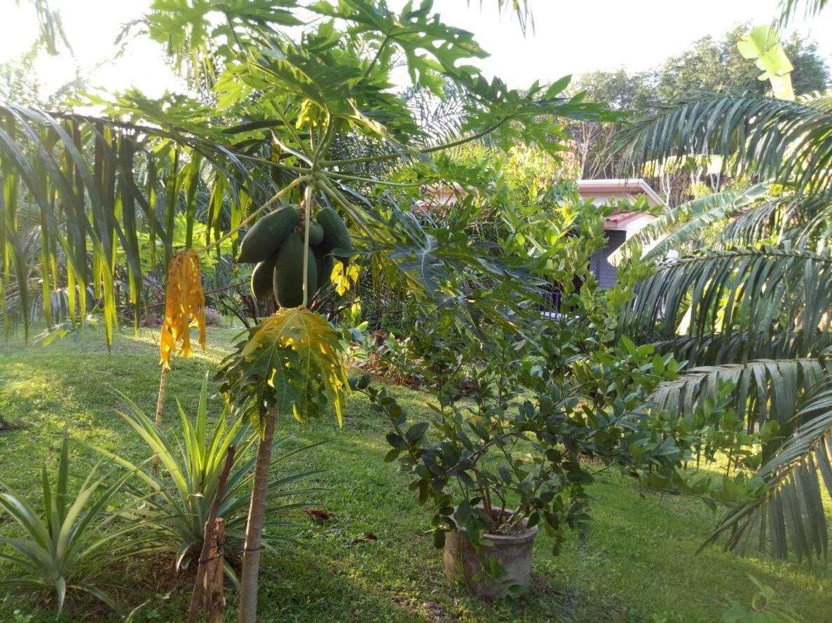 Baan Reenaa Lanta 3* Koh Lanta