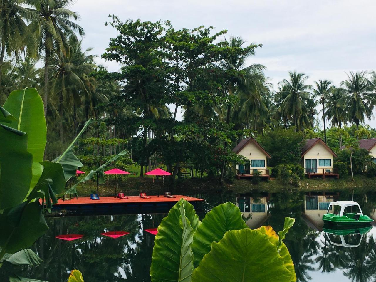 Golden Coconut