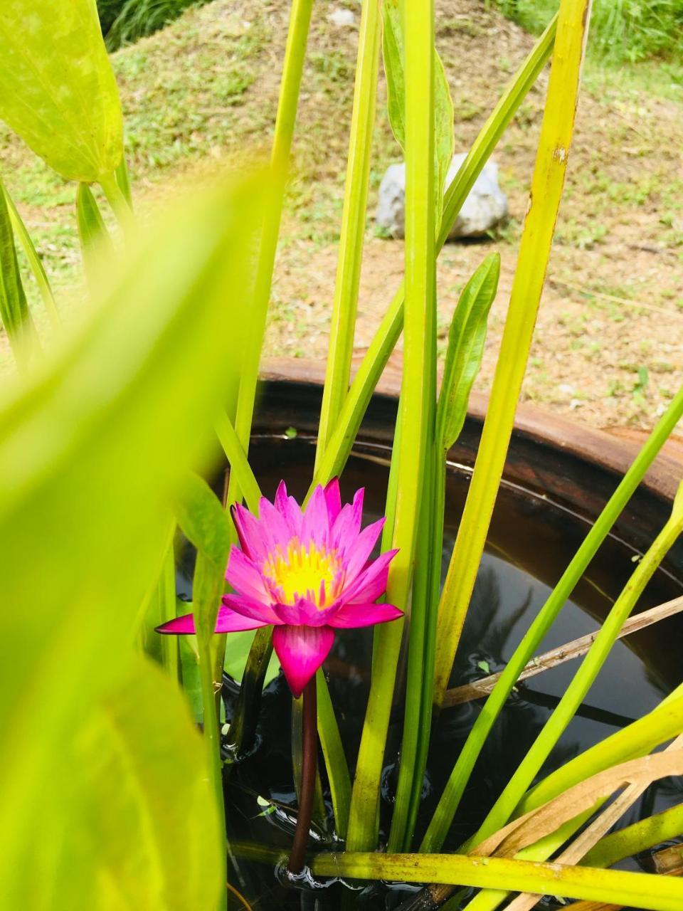 Golden Coconut Resort 2*