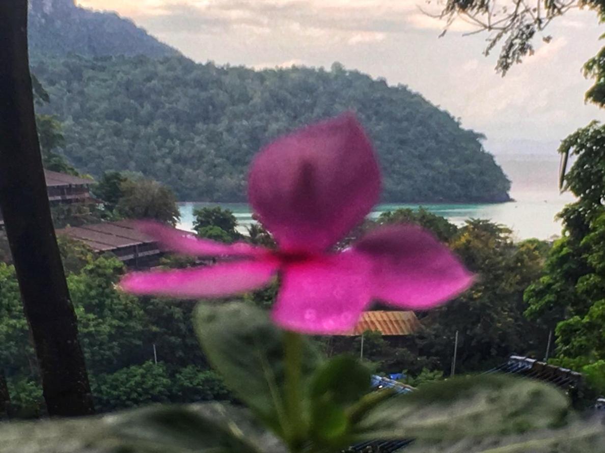 Sea And Hill Resort