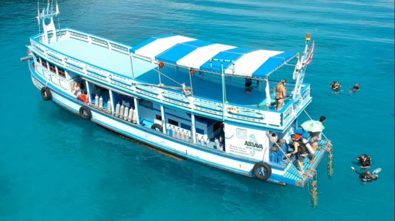 Assava Dive - Sha