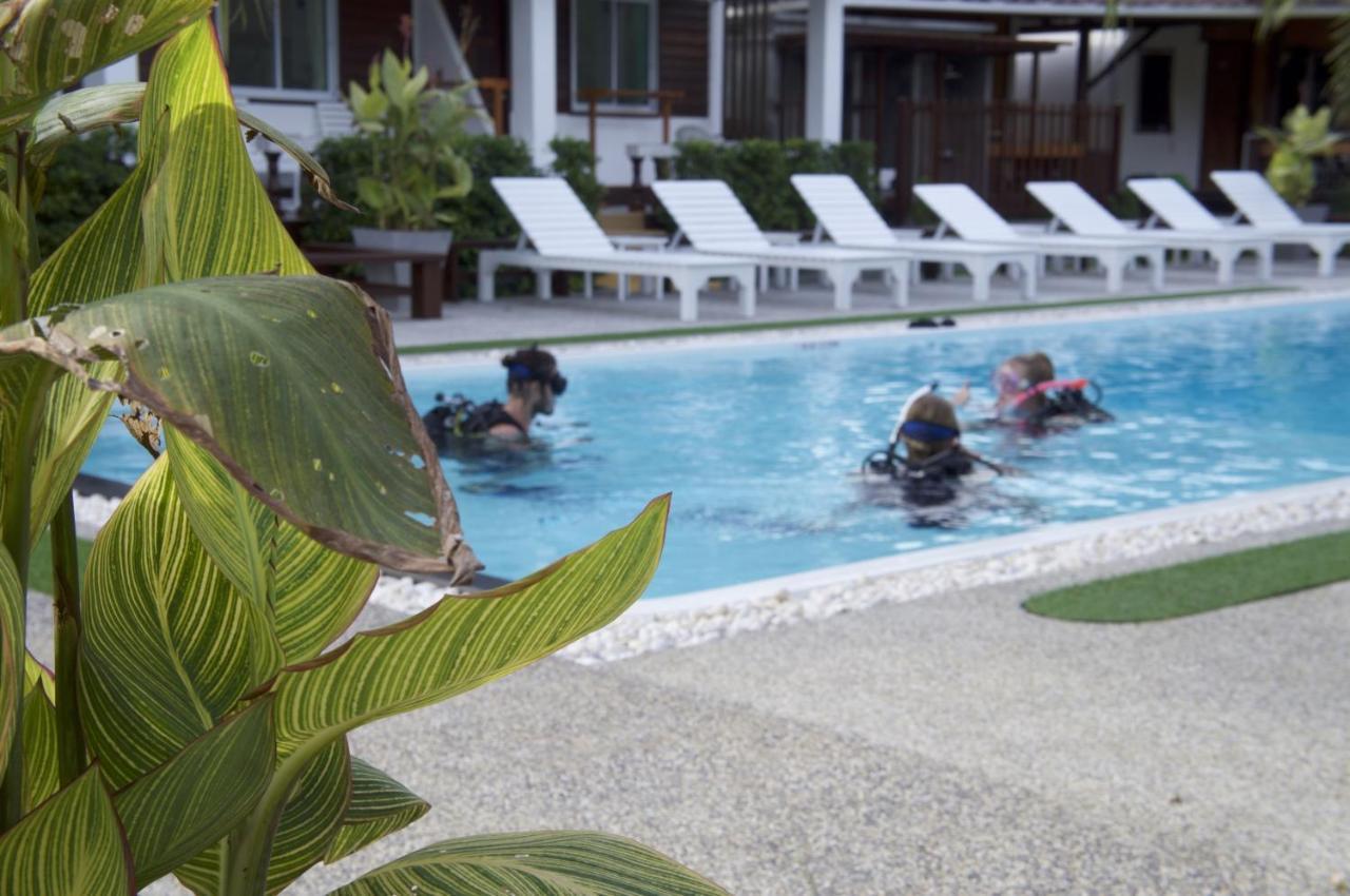 Assava Dive - Sha
