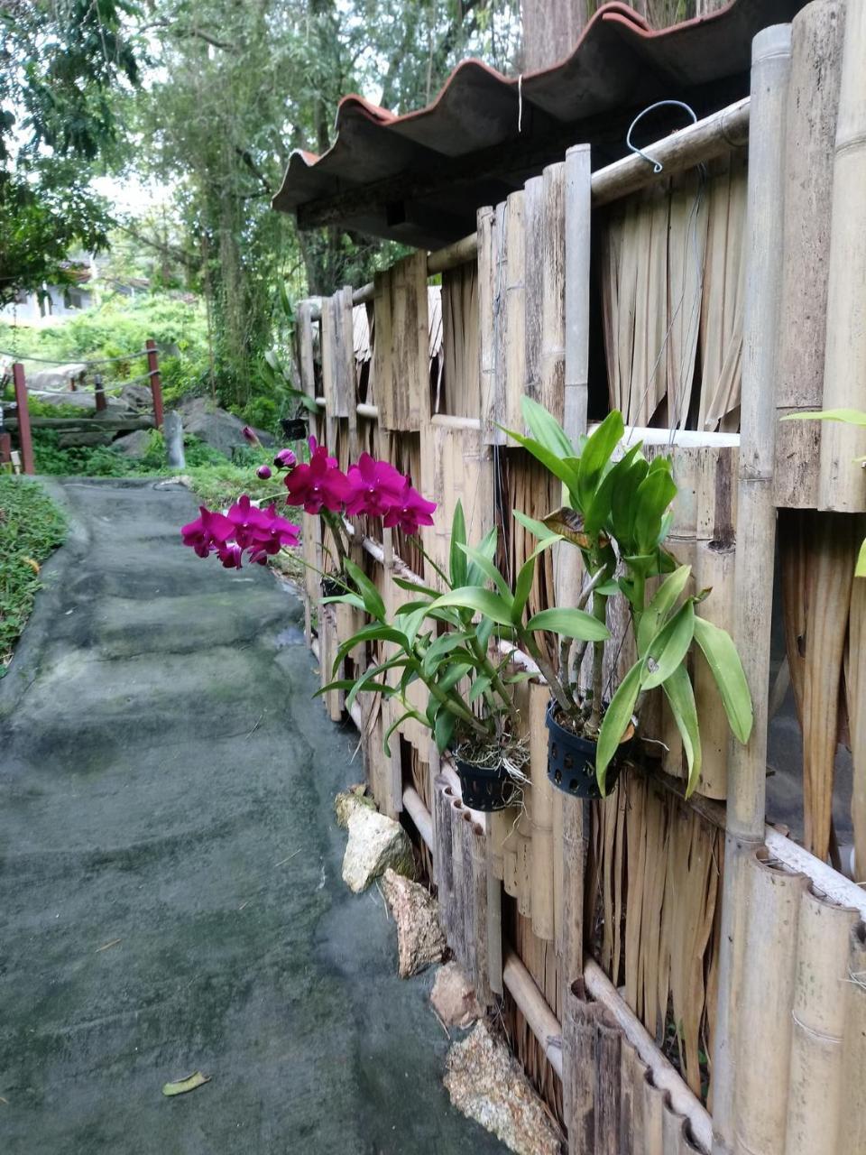 Koh Phangan Pavilions Serviced Resort