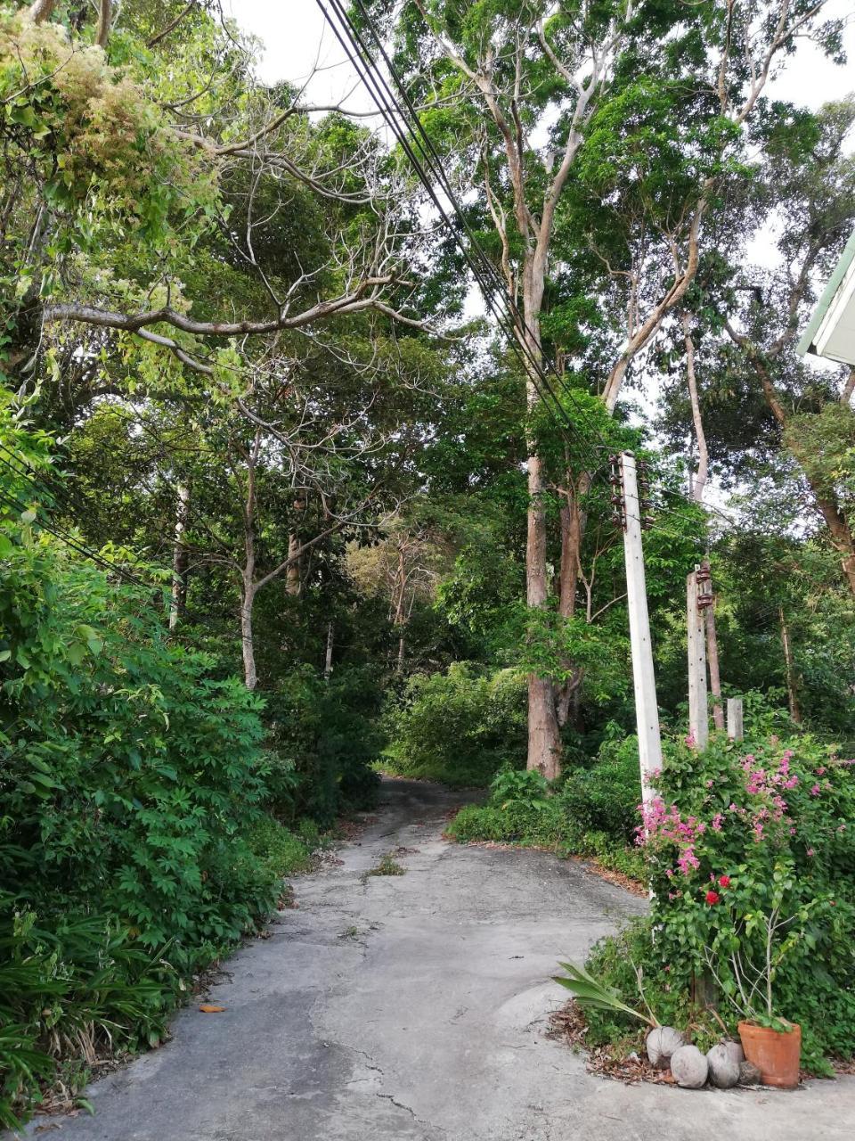 Pingpong's House * Koh Chang