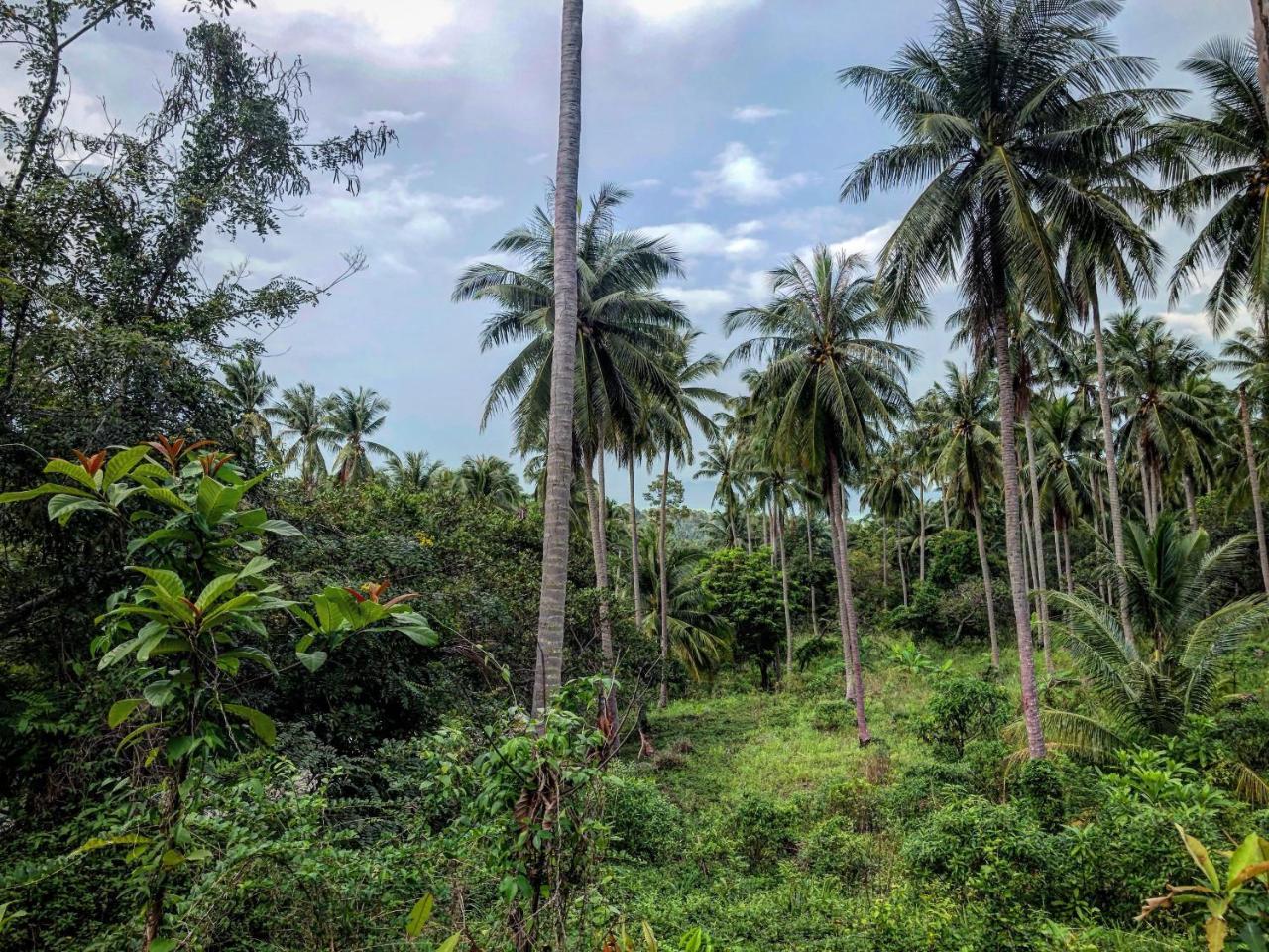 Resort Wanora