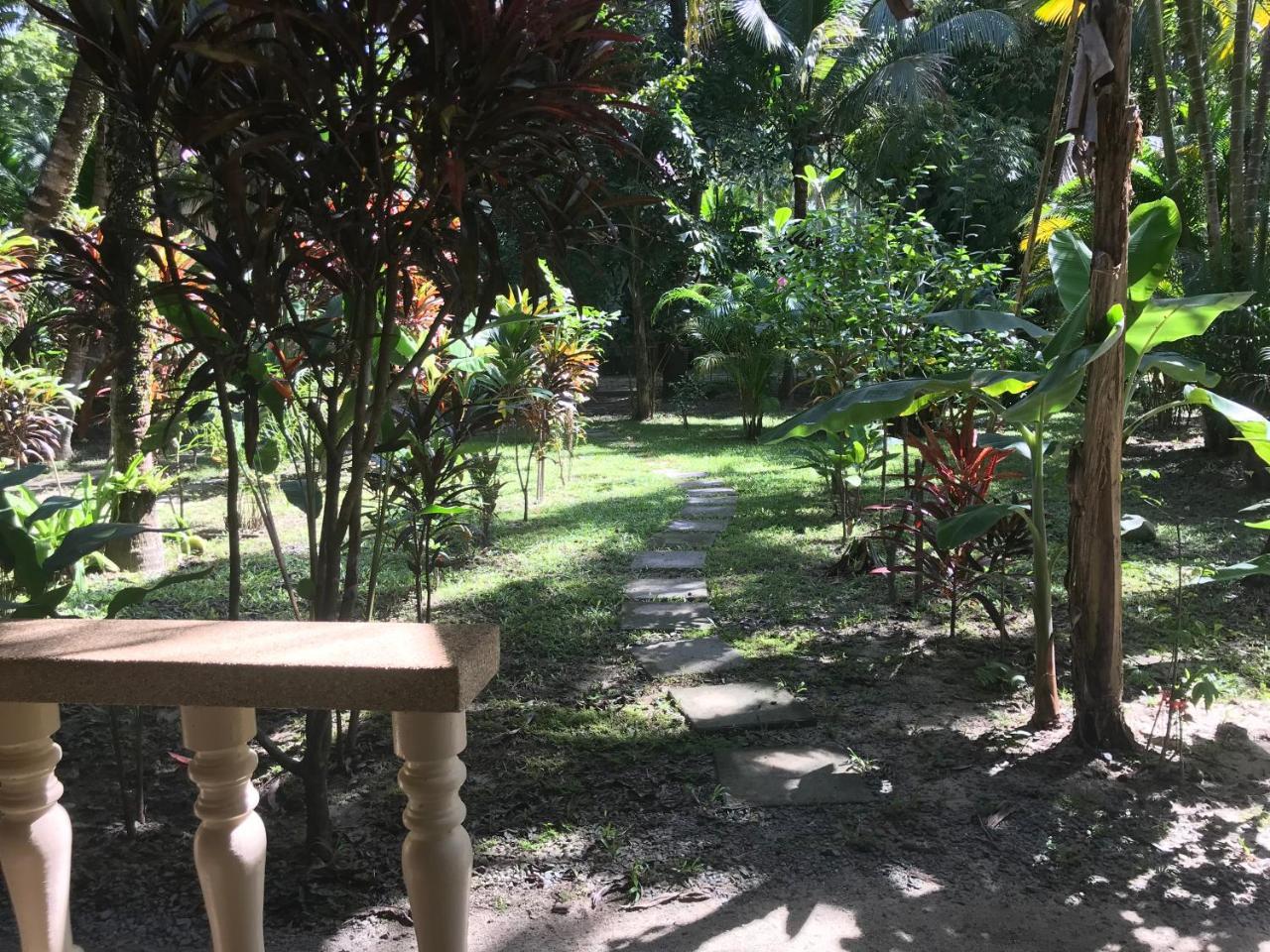Resort View