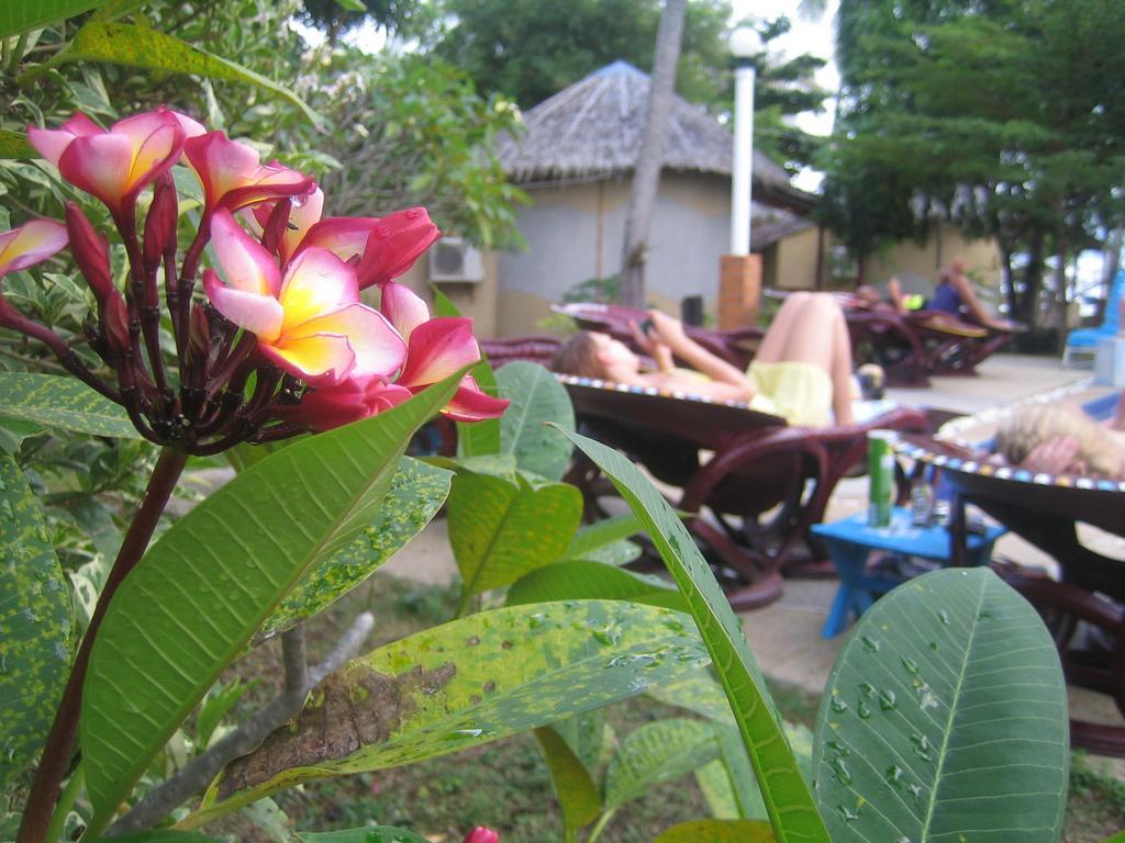 Power Ko Pha Ngan