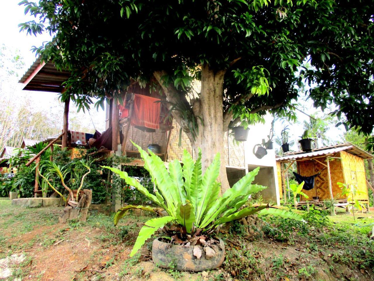 Asama Guest house Koh Lanta