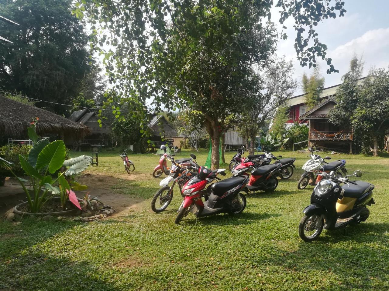 Hostel River Jam & *