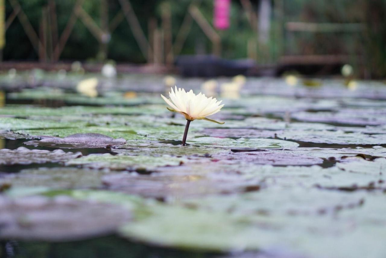 Saikaew Resort 2*