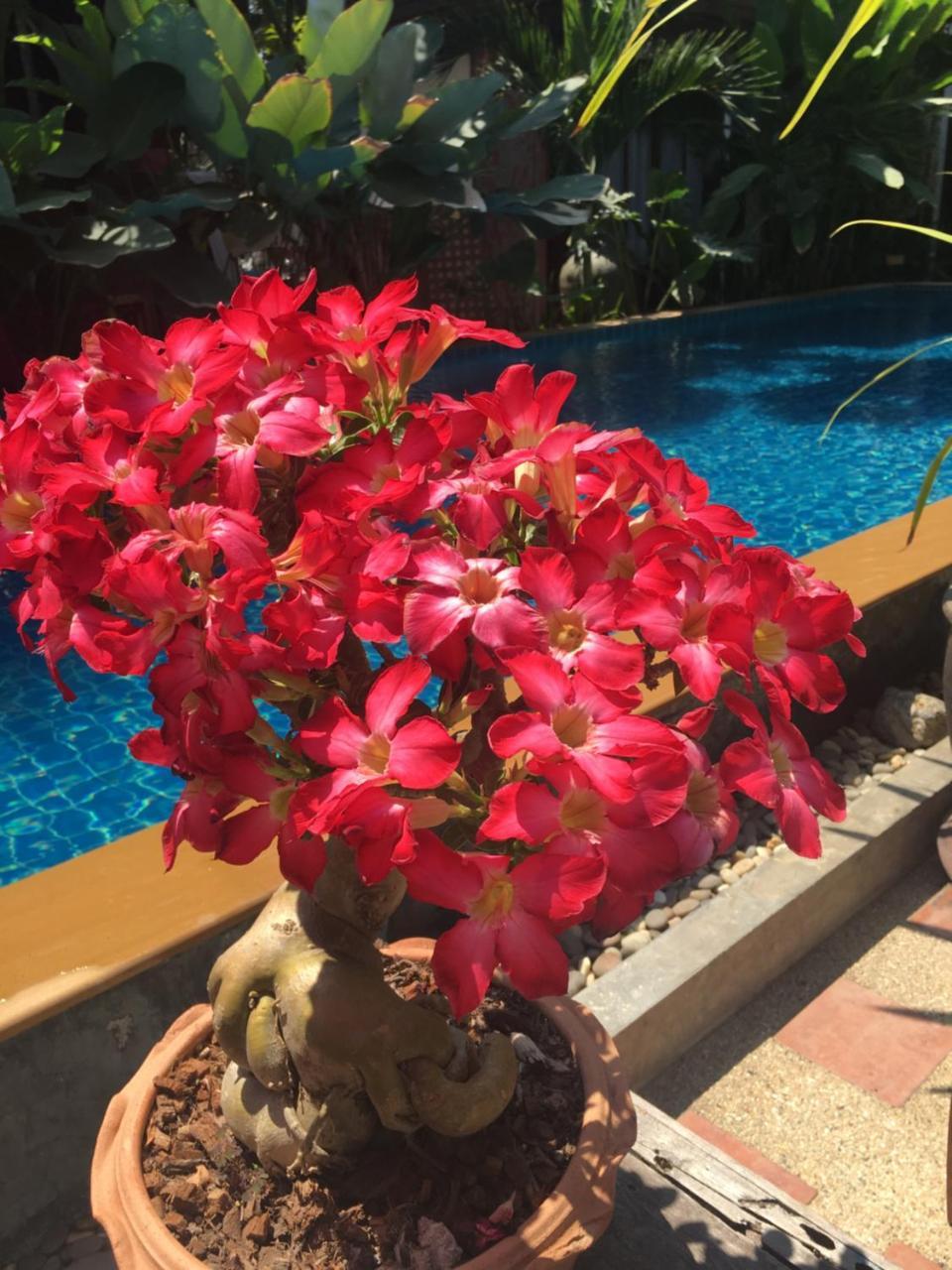 Resort Hongkhao Village 3*