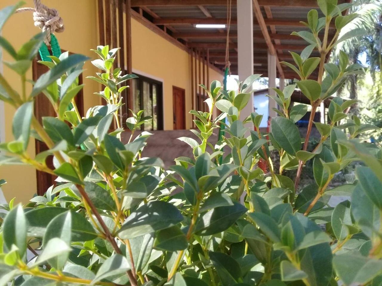 Som Palmgarden Koh Lanta