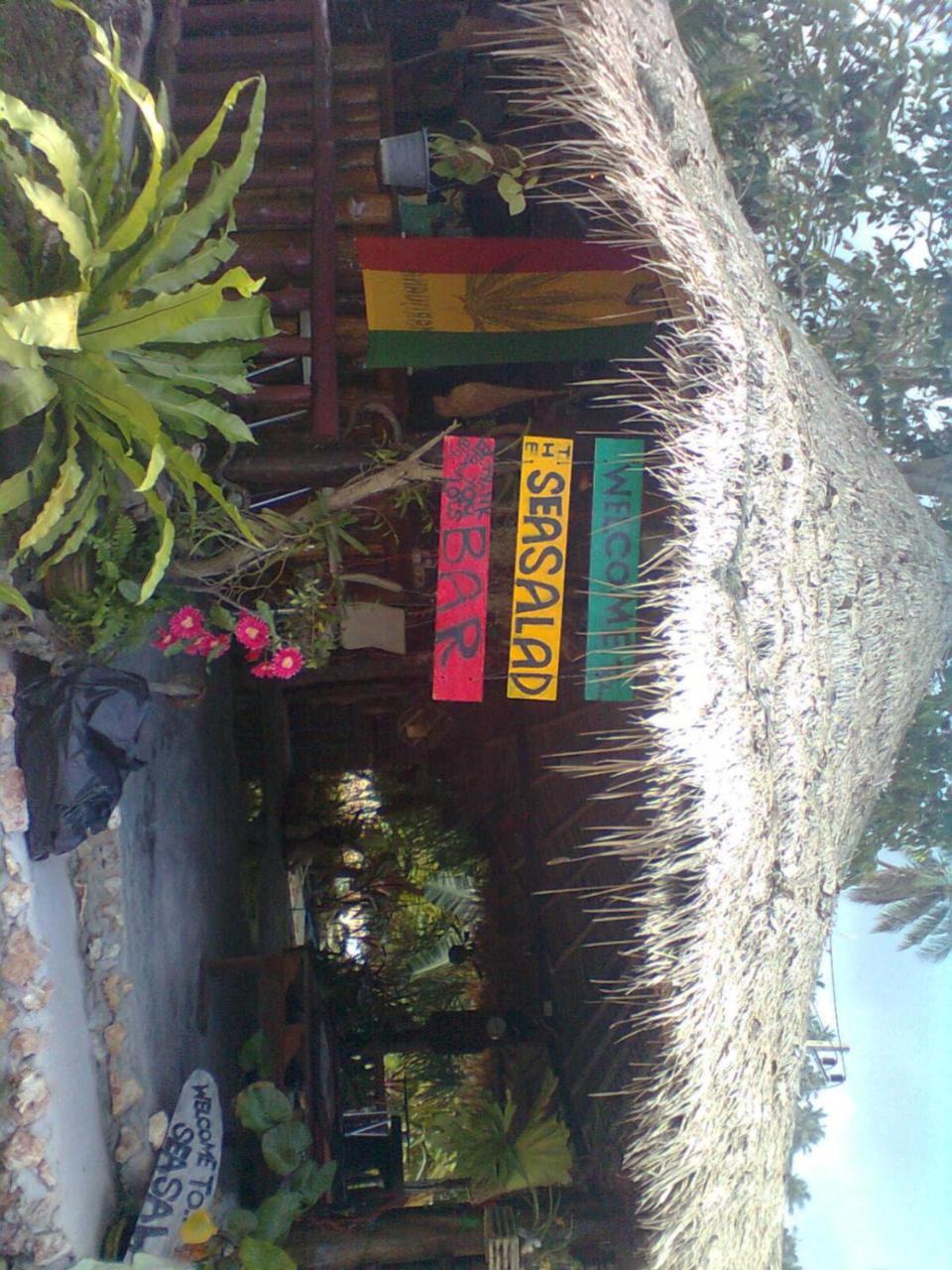 Sea Salad Resort