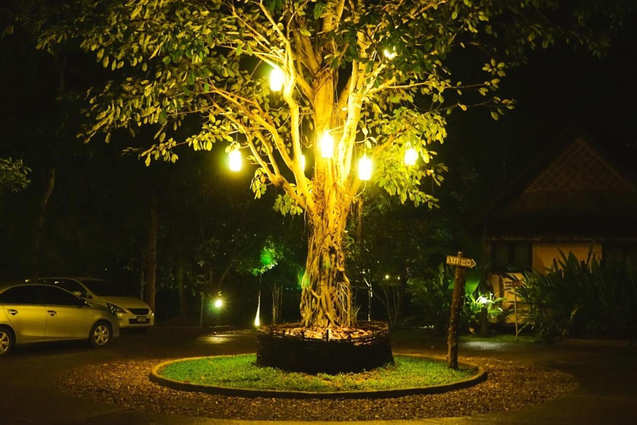 Phu Pai Art * Mae Hong Son