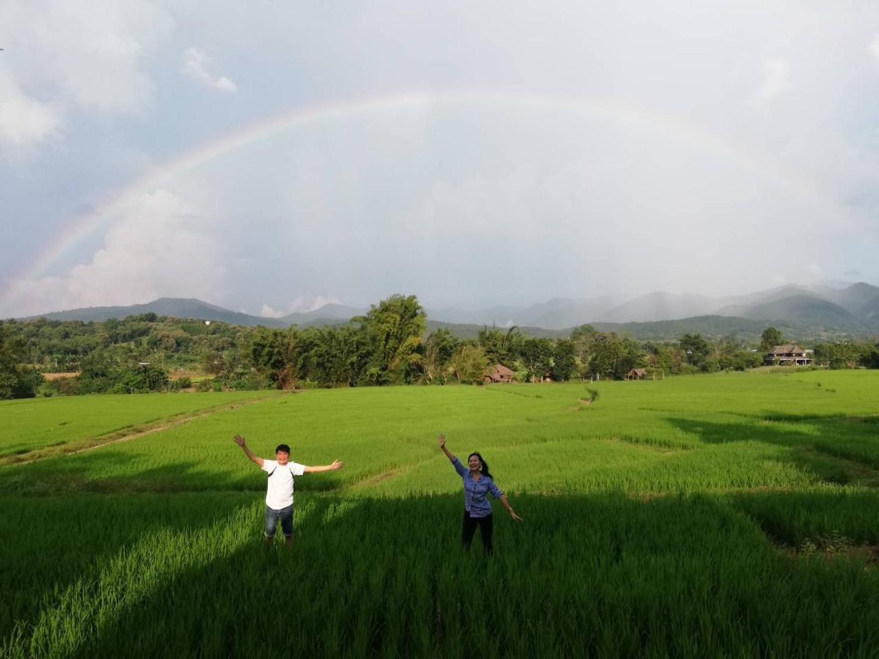 Lodge Phu Pai Art