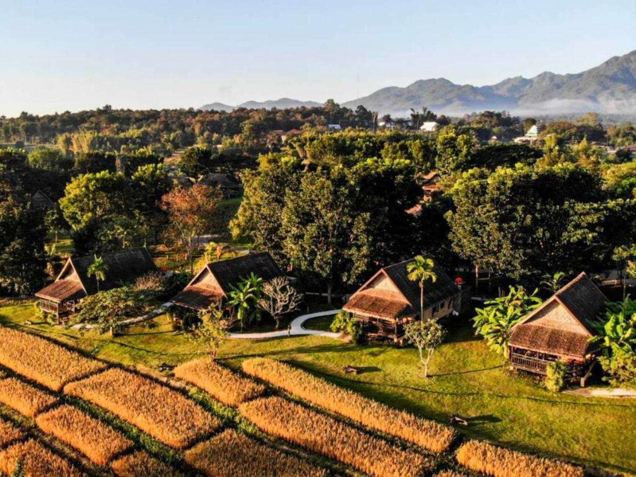 Lodge Phu Pai Art