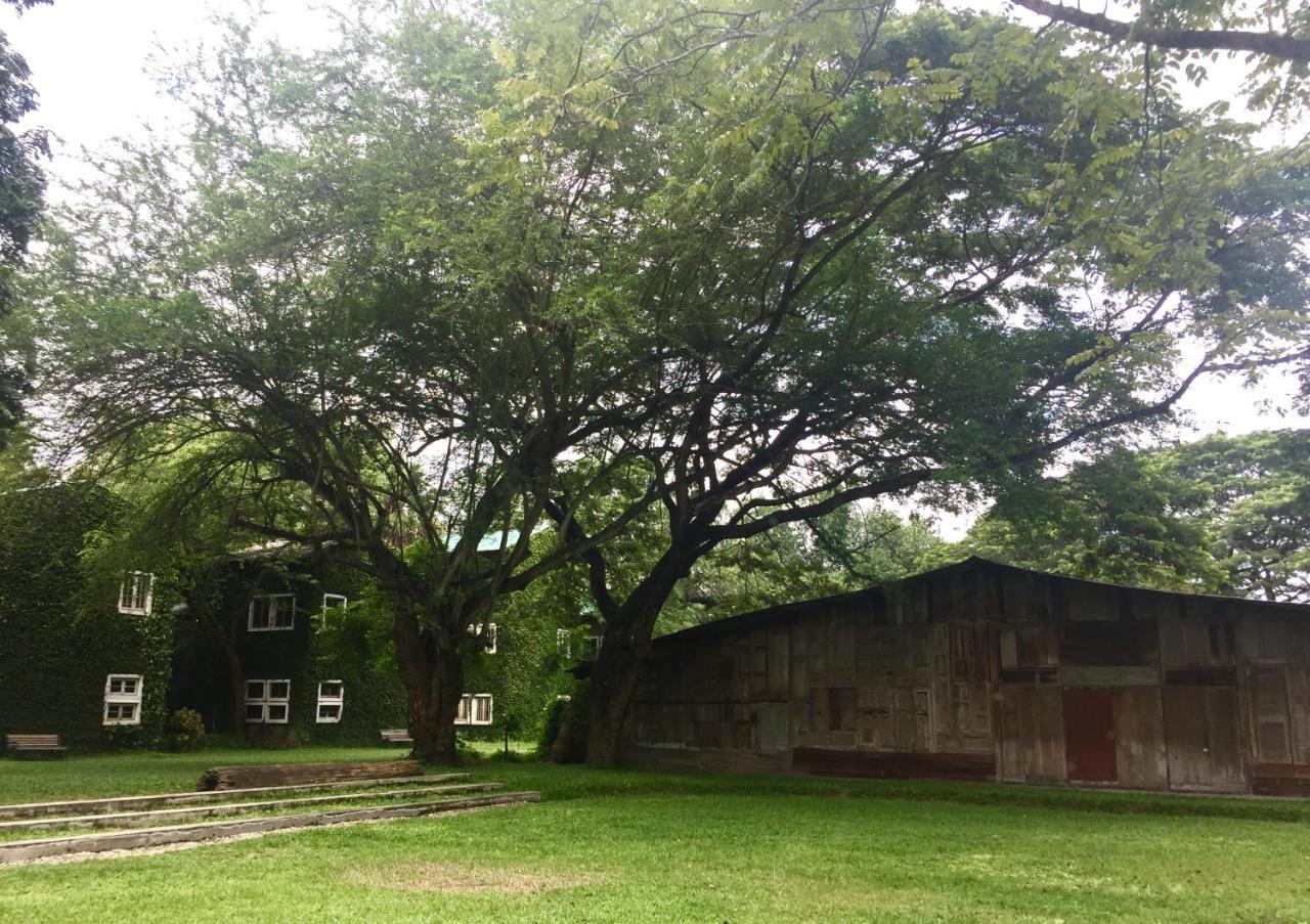 Kaomai Lanna San Pa Tong