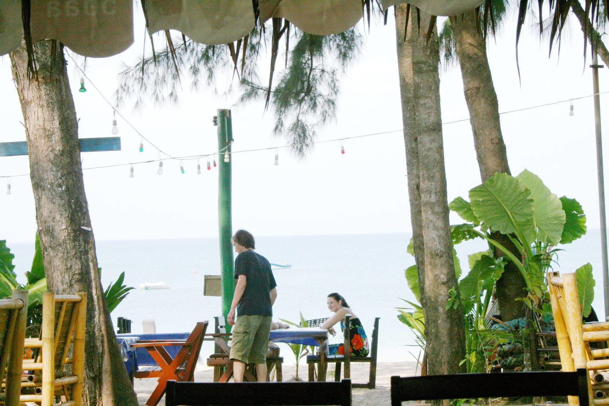 Lanta Palm , -