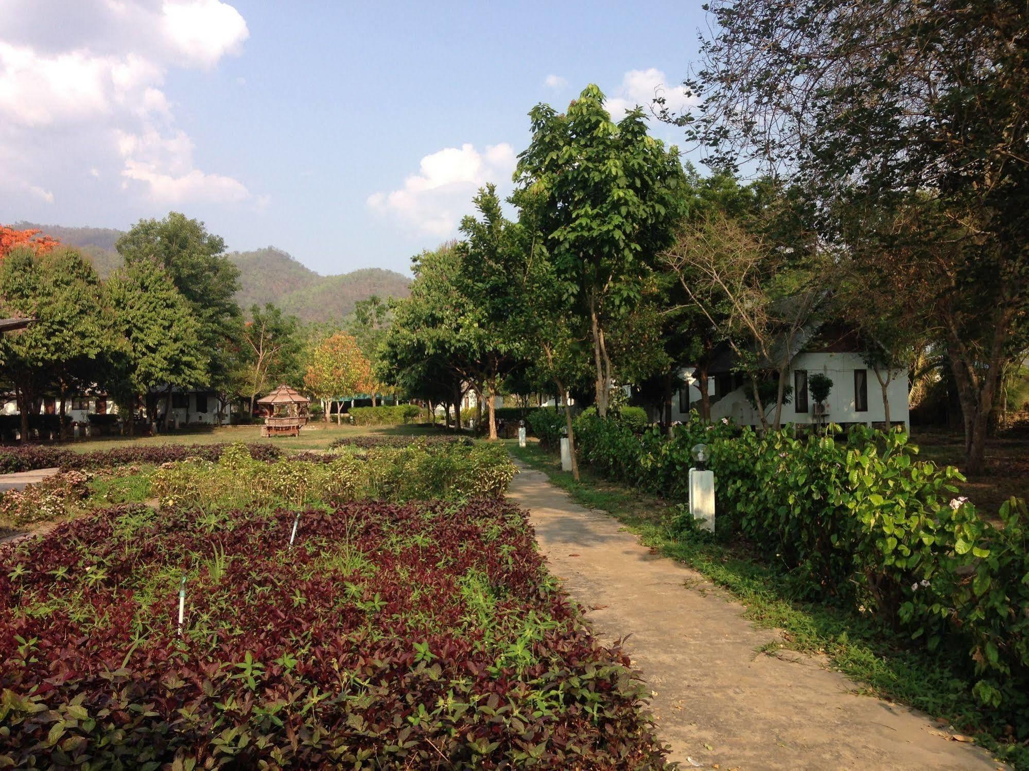 Backpackers Paradise (adults Only)