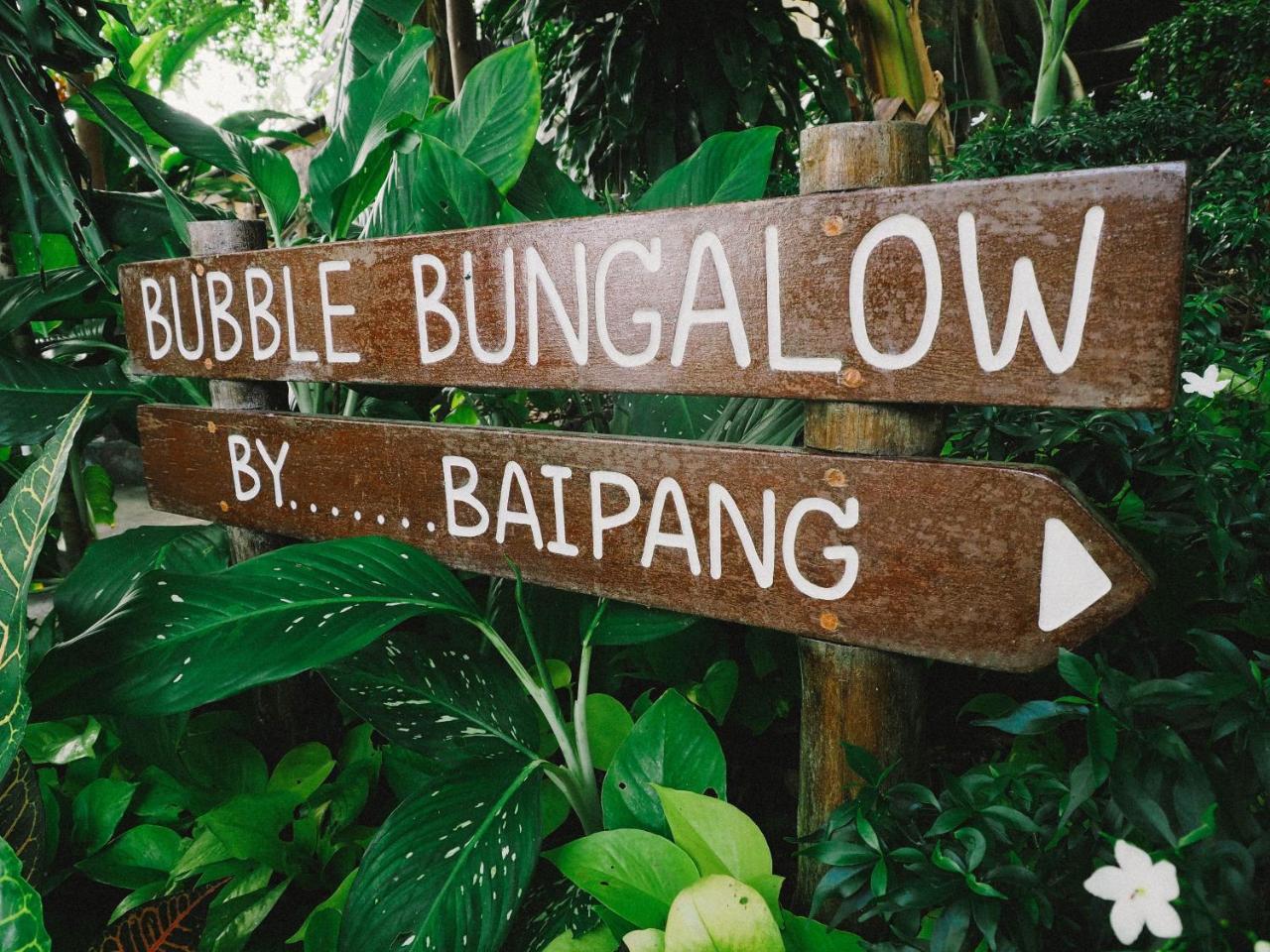 Bubble 2* Koh Tao