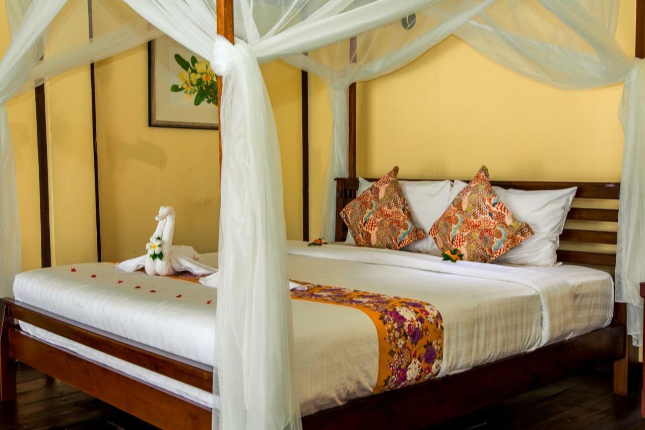 Loyfa-holina Natural 3*