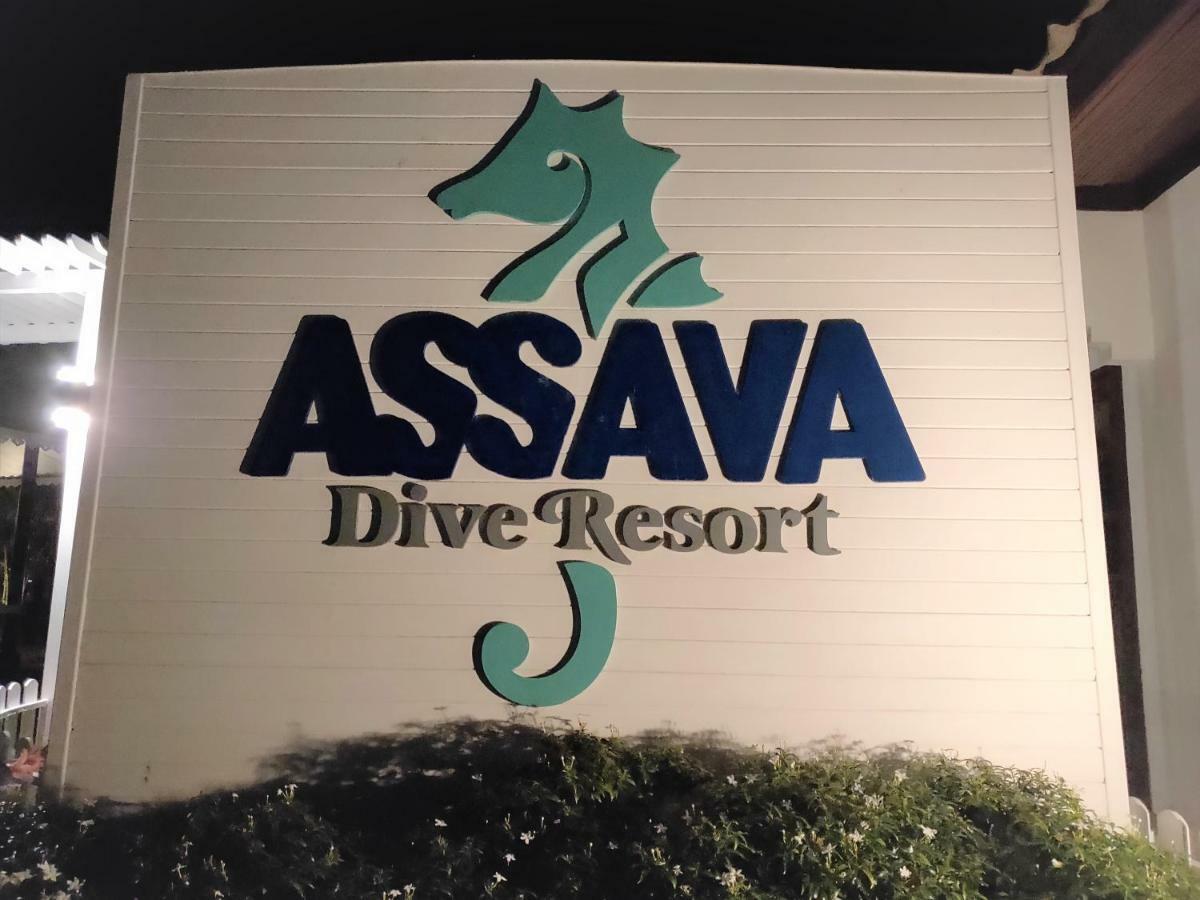 Assava Dive - Sha