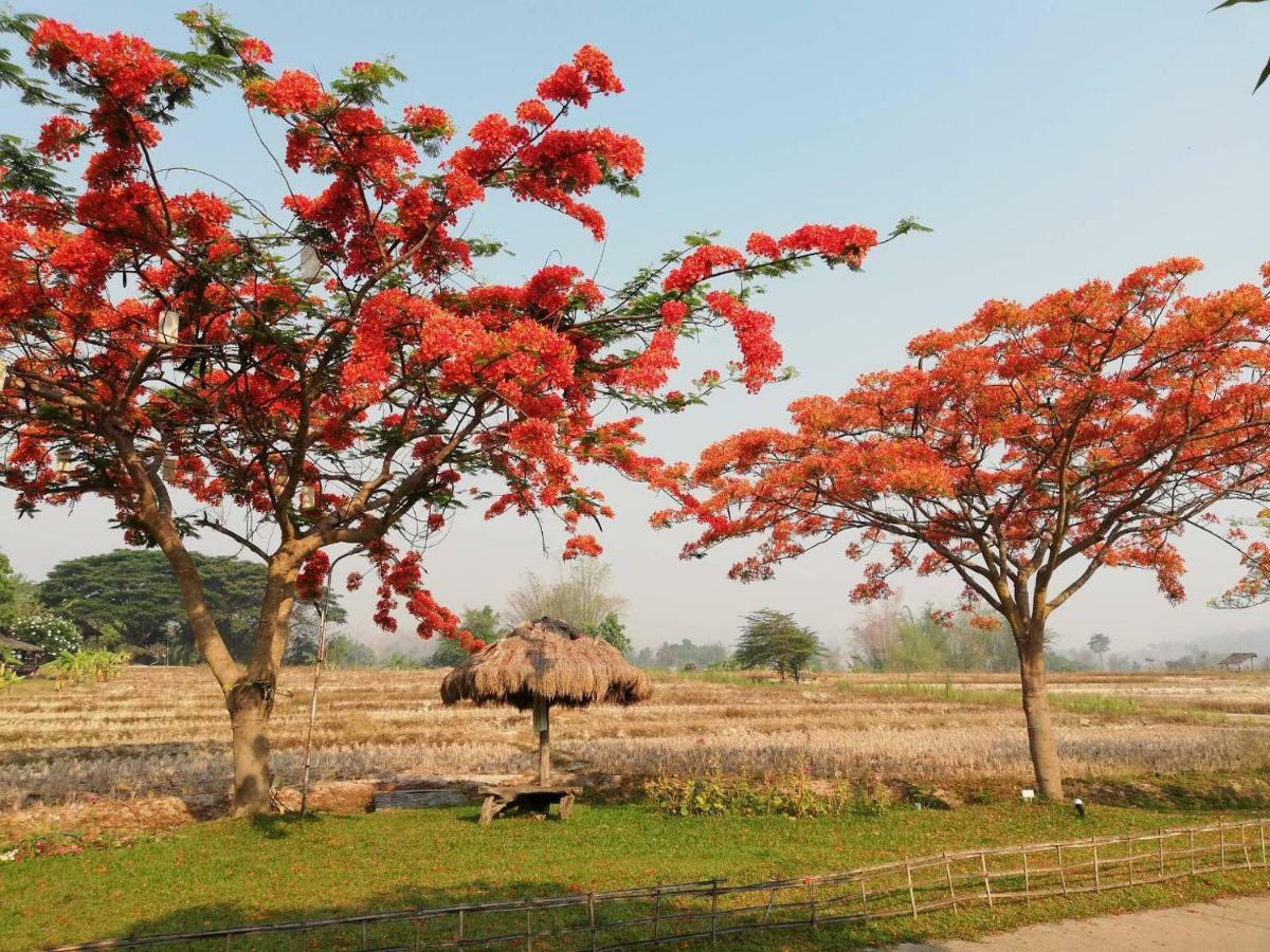Phu Pai Art Mae Hong Son