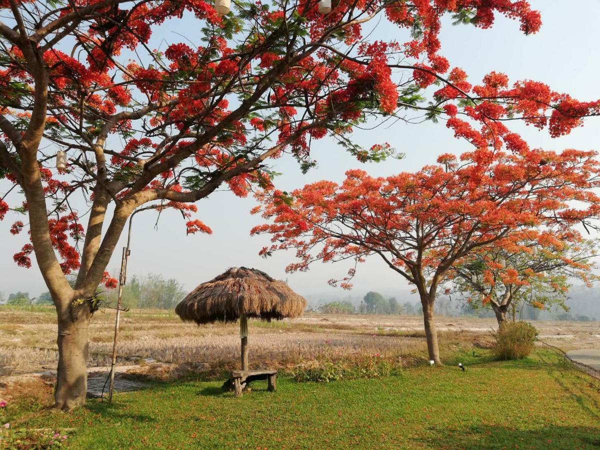 Phu Pai Art Lodge