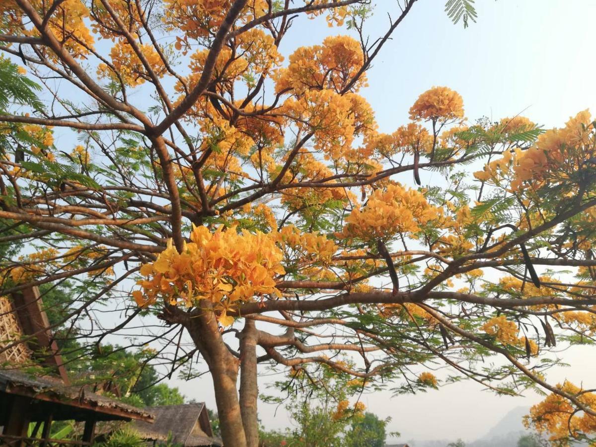 Lodge Phu Pai Art Mae Hong Son